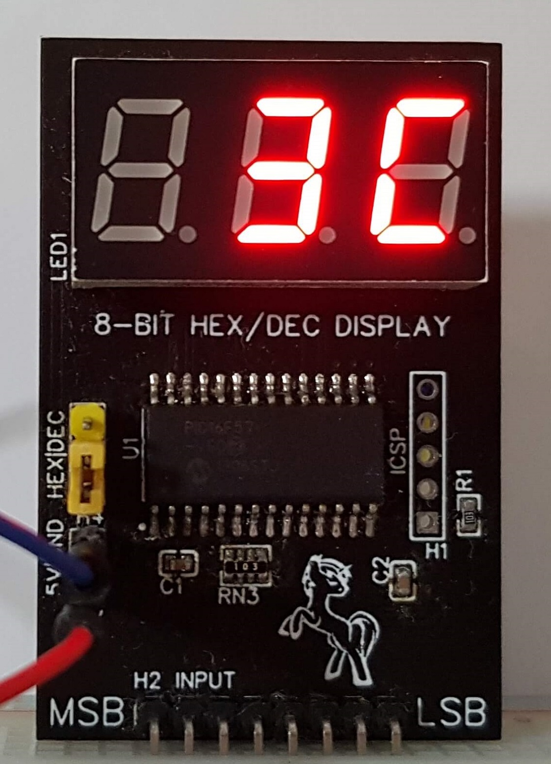 Busdisplay revision 1 in hexadecimal mode